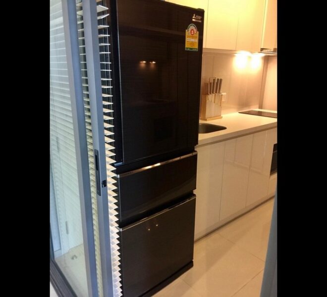 17563 Image-438