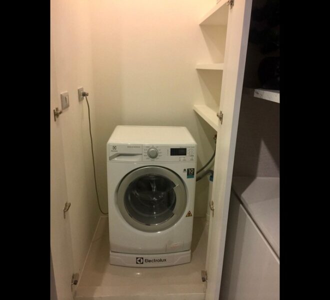 17563 Image-439