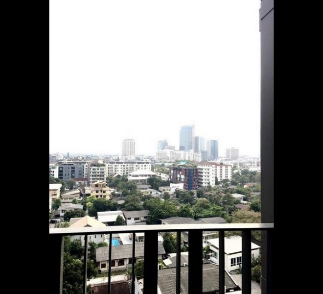 16091 Image-05