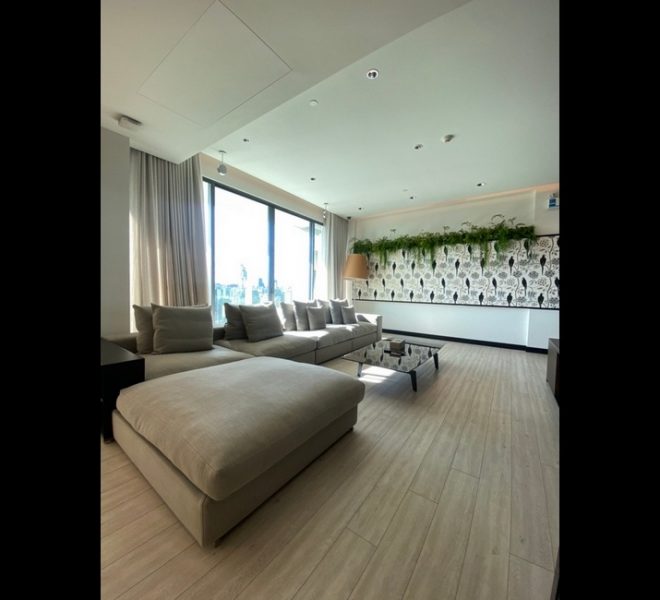 16259 Image - 02