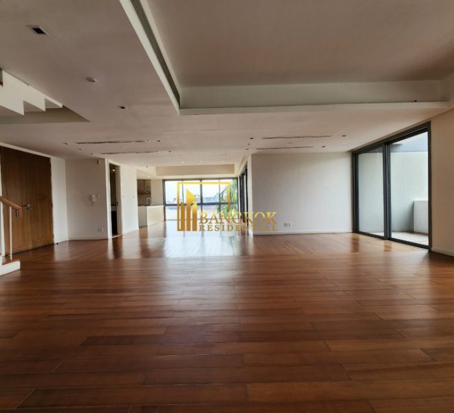 16355 Image-01