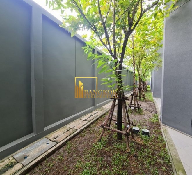 20916 Image-15