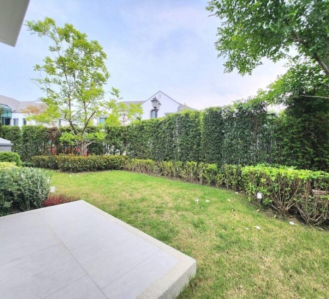 27955 Image-19