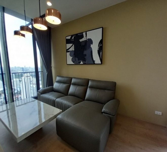 16573 Image-01