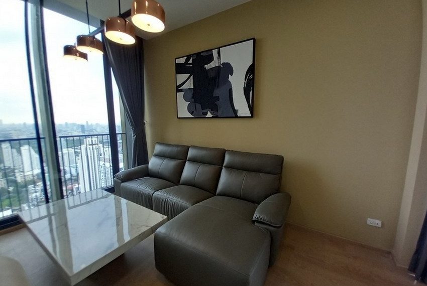 16573 Image-01
