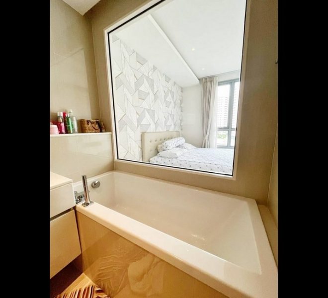 16520 Image-07