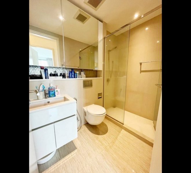 16520 Image-09