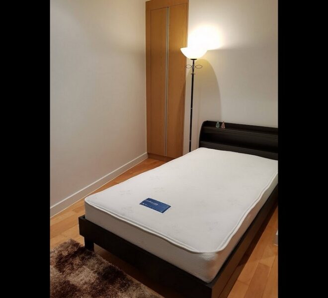 16587 Image-08