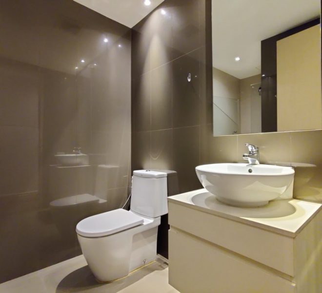 16698 Image-08