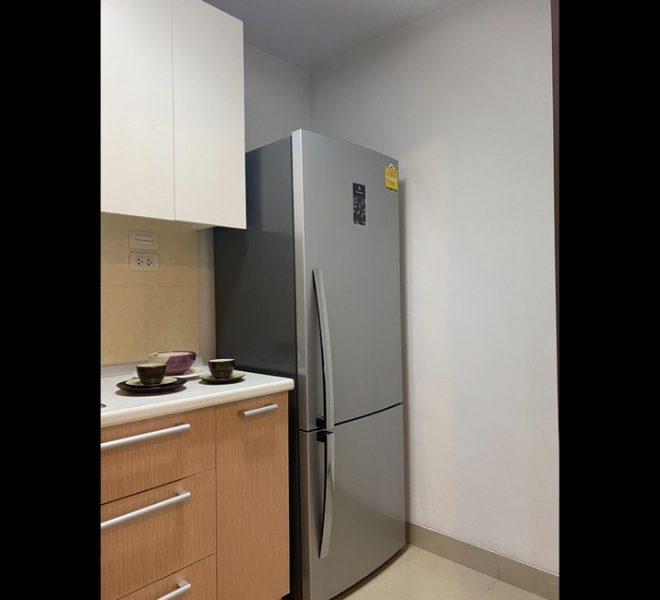 16741 Image-05