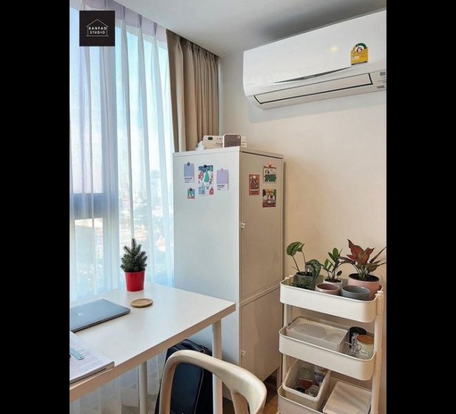 16821 Image-03