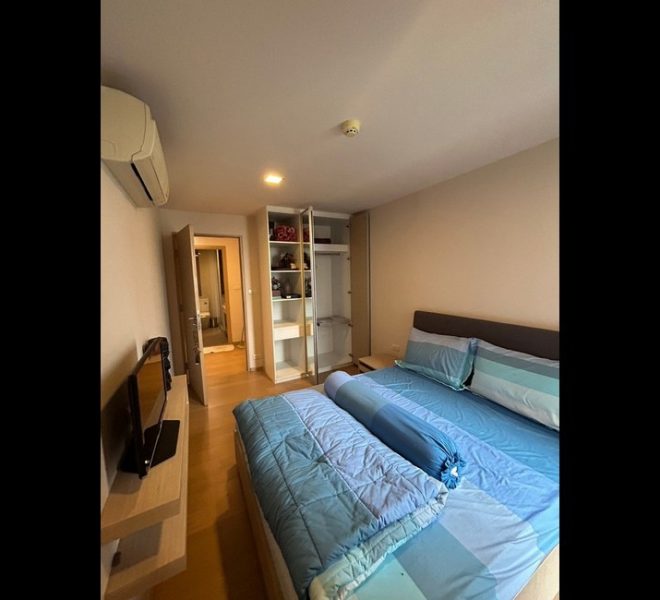 16905 Image-07