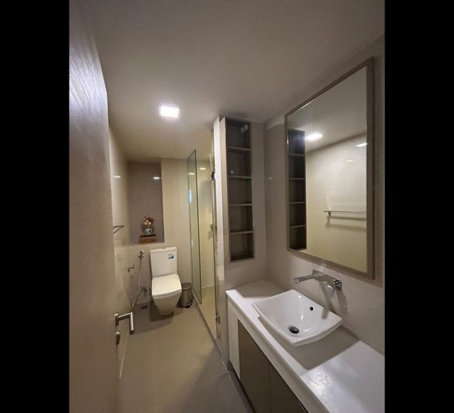 16905 Image-08