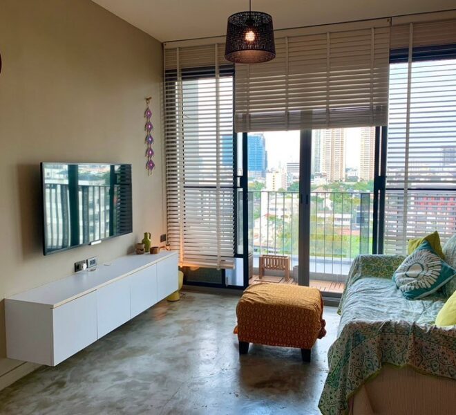 17041 Image-01