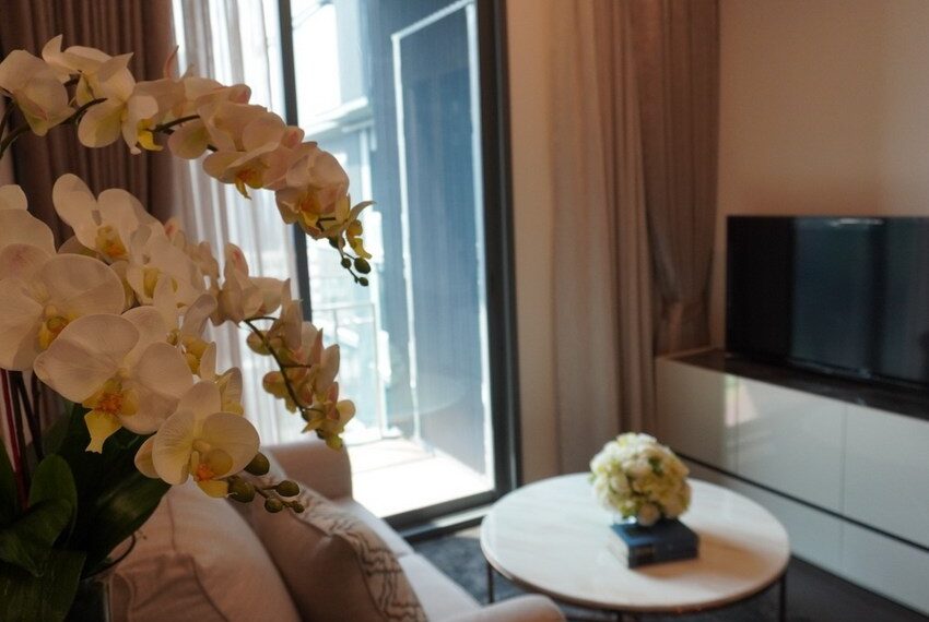 17045 Image-04