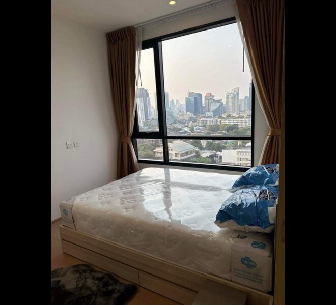 17184 Image-08