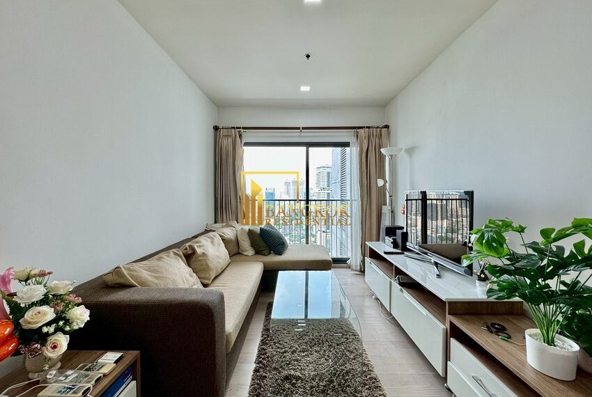 14602 Image-01