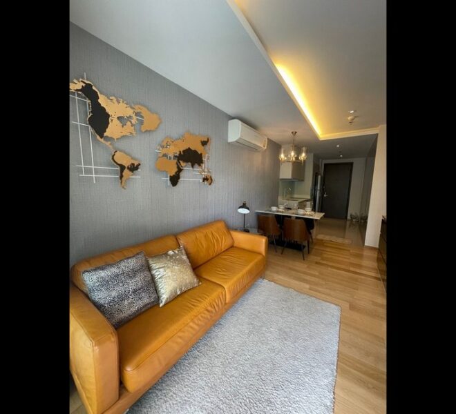 16519 Image-02