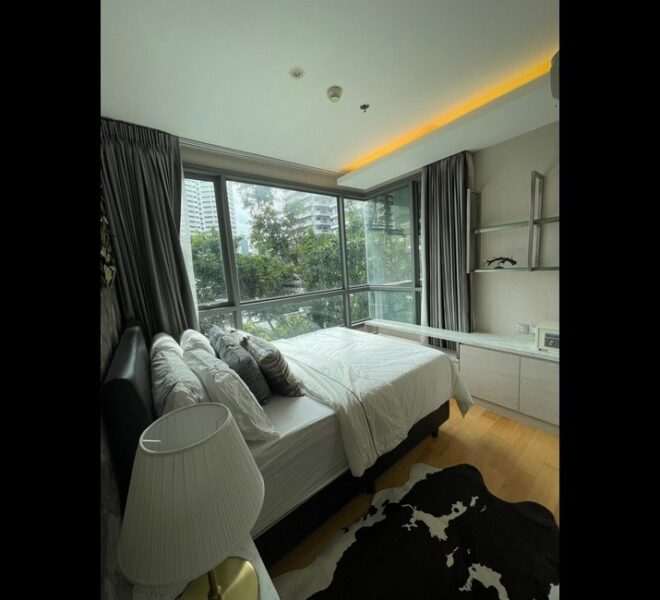 16519 Image-06