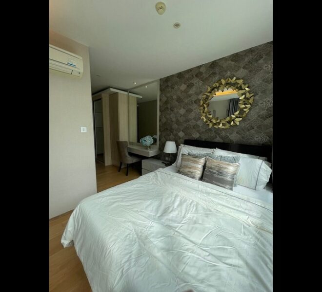 16519 Image-07