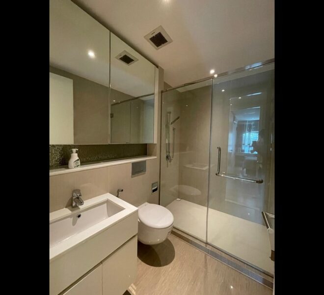 16519 Image-11