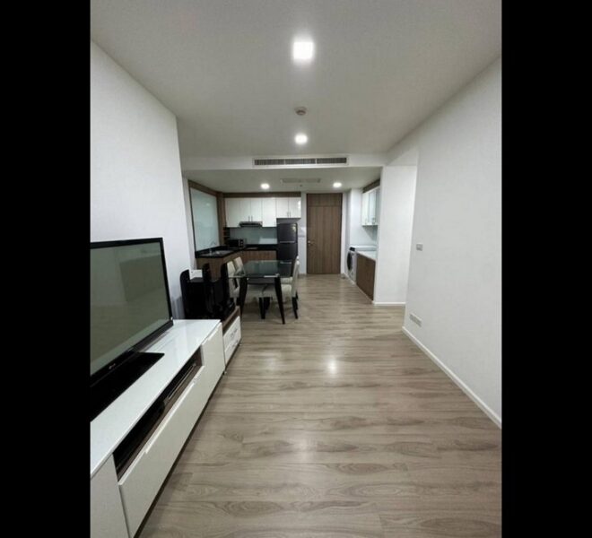 16964 Image-02