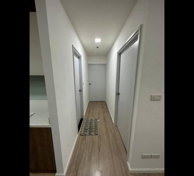 16964 Image-04