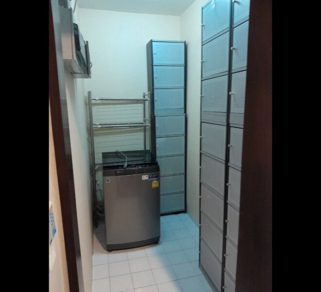17310 Image-04