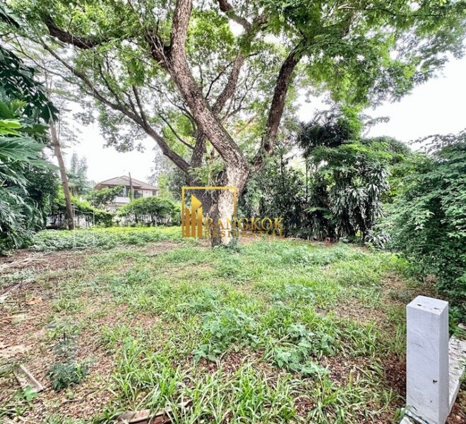 28075 Image-43