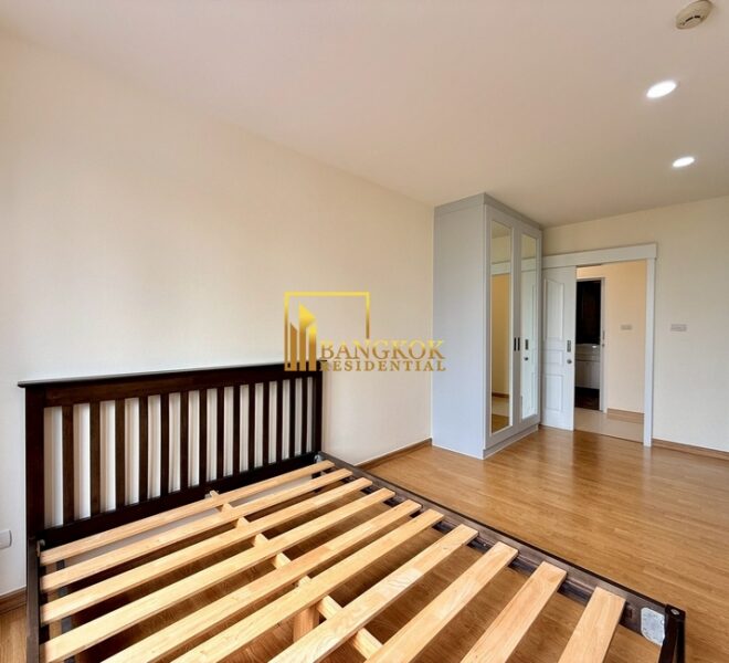 16811 Image-20