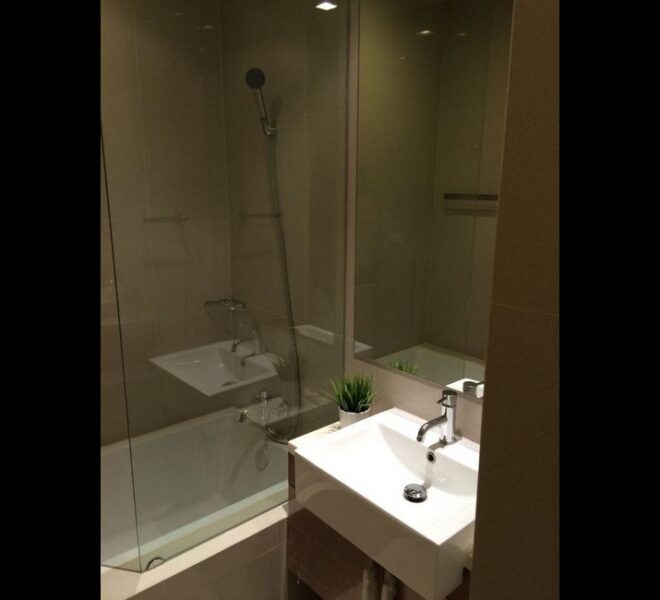 17530 Image-381