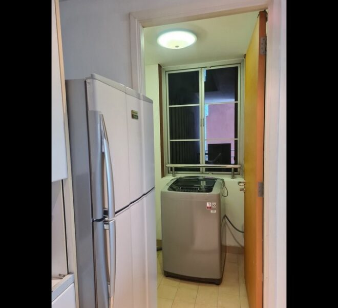 17625 Image-05