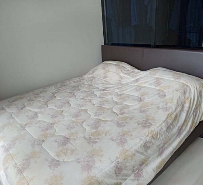 16164 Image-04