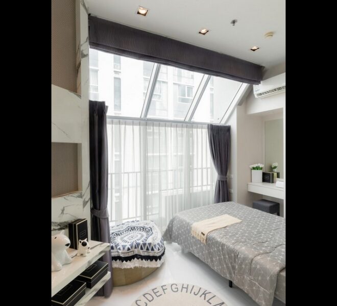 17553 Image-05