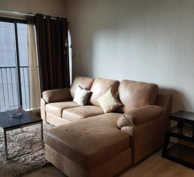 17668 Image-01