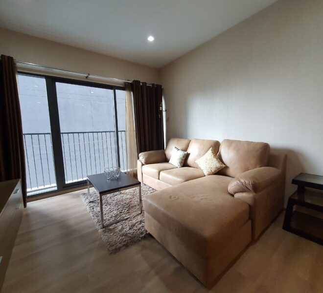 17668 Image-02
