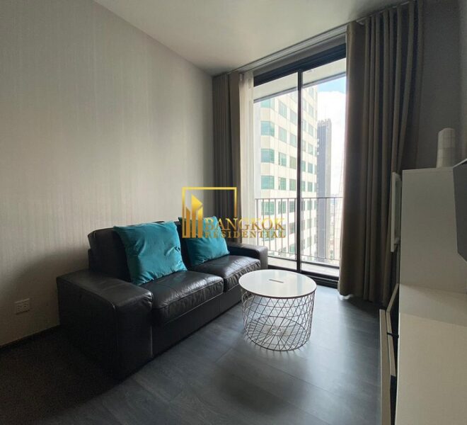 17675 Image-02