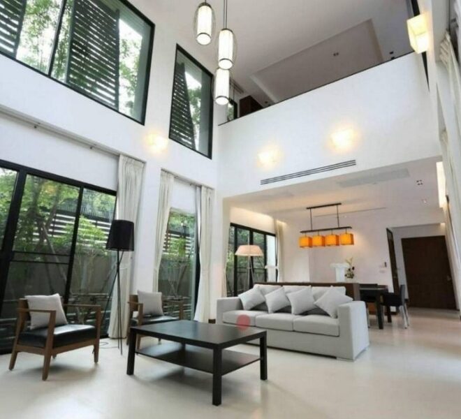 27770 Image-01