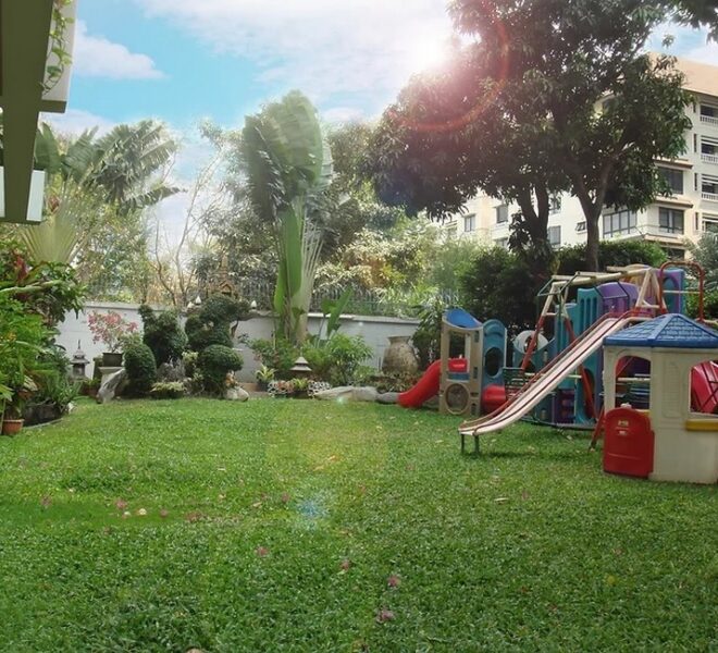 TY Court Image-03