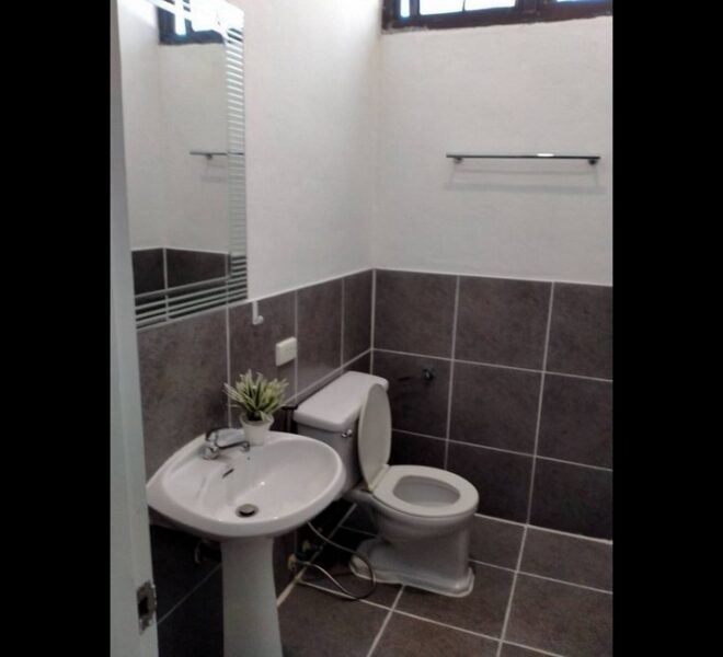 17882 Image-09