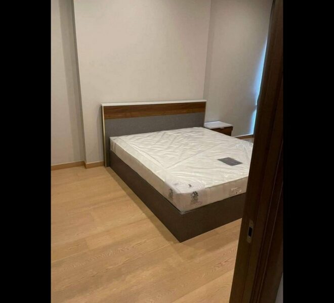 17908 Image-06