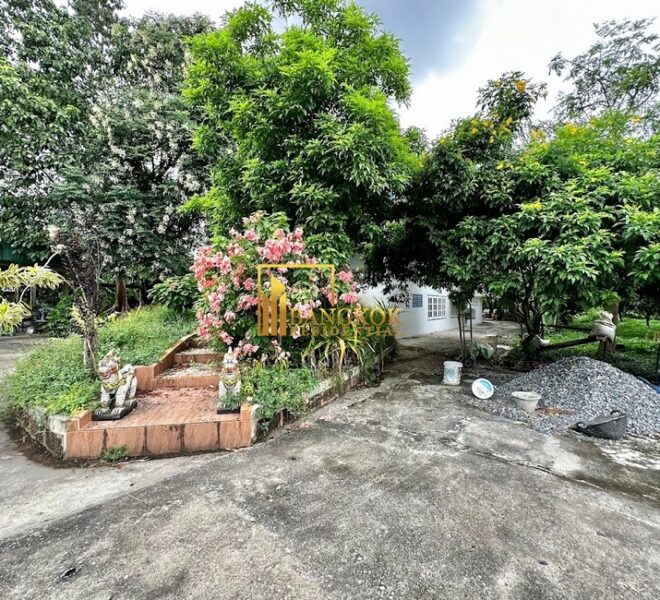 28125 Image-42