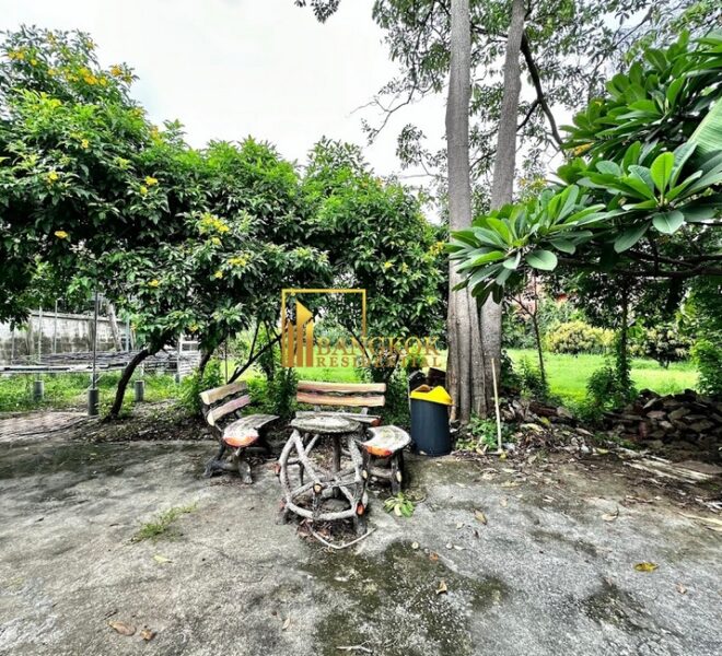 28125 Image-49