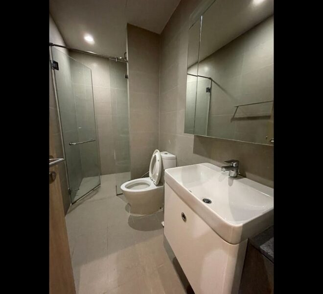 16831 Image-13