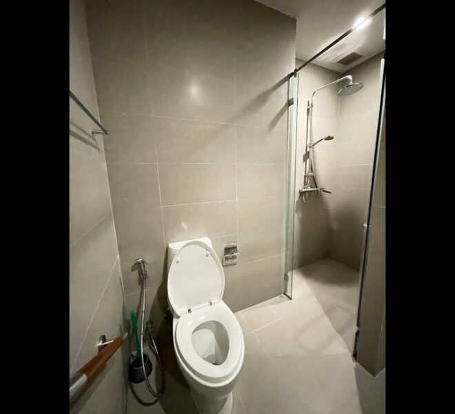 16831 Image-16
