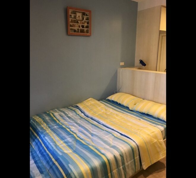 17781 Image-05