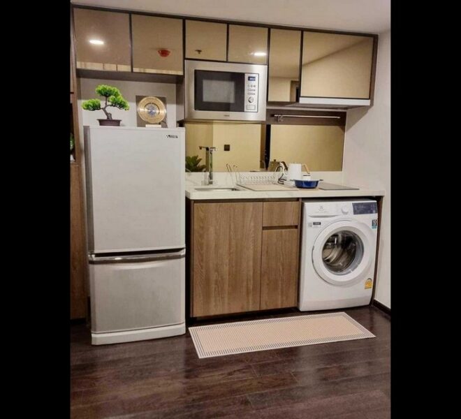 17967 Image-04