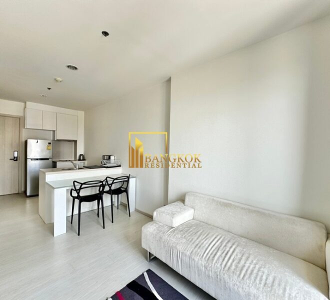 17987 Image-02