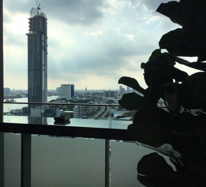 18031 Image-11