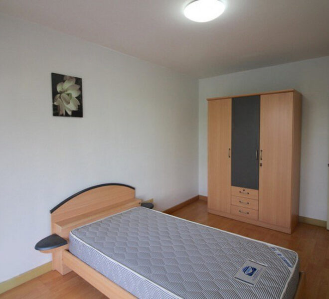20466 Image-04